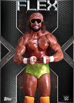 WWE SLAM collectible 1