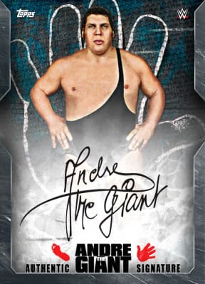 WWE SLAM collectible 2