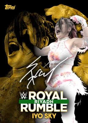 WWE SLAM collectible 6