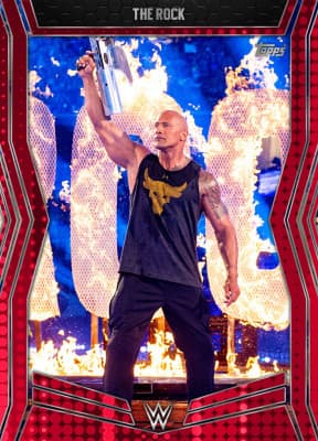 WWE SLAM collectible 8