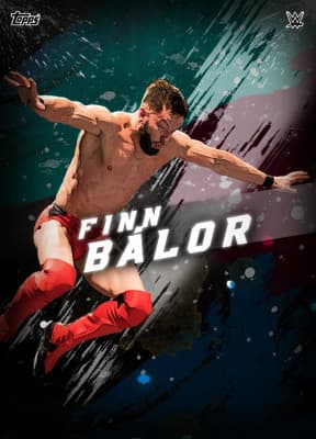WWE SLAM collectible 9