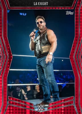 WWE SLAM collectible 10