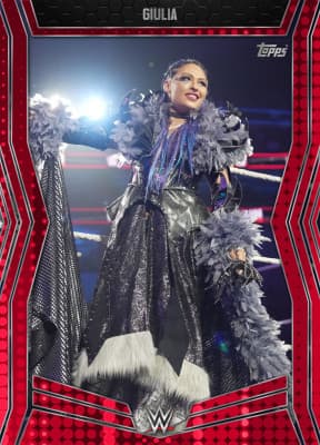 WWE SLAM collectible 12