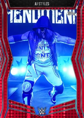 WWE SLAM collectible 13